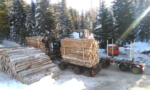 IMG-20190206-WA0005.jpg